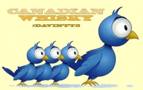 Twitter-birds-DavinTT2-523x330